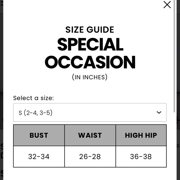 Windsor Sutton Formal Lurex X-Back Dress - Picture 7 of 15